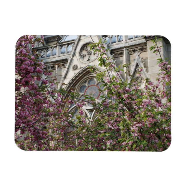 Notre Dame spring Magnet (Horizontal)