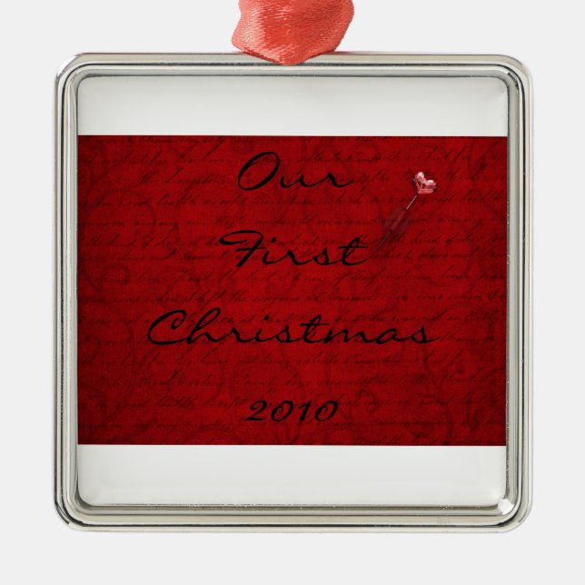 Notre ęr ornement de Noël 2010 (Devant)