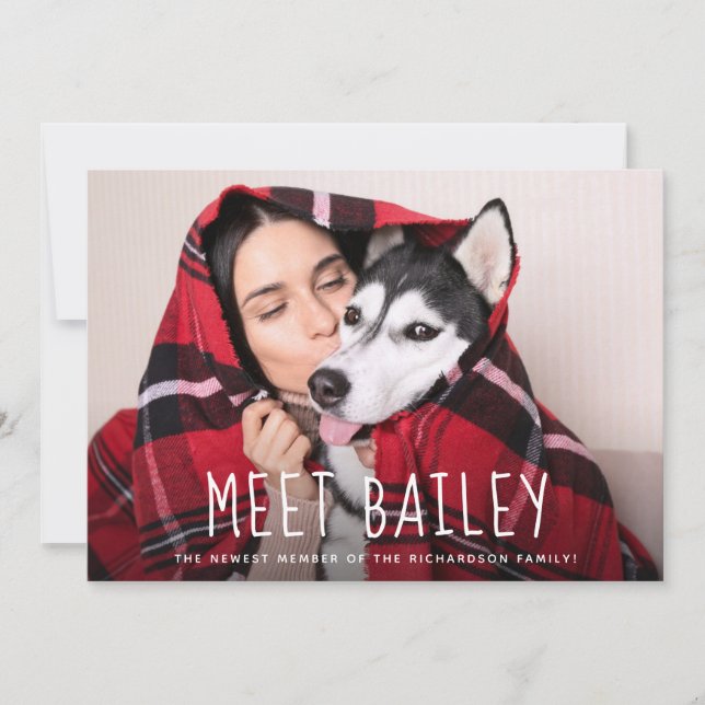 Notre nouveau faire-part simple de photo du chien (Devant)