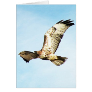 "Notre plus grande gloire. "Faucon Rouge-Coupé la