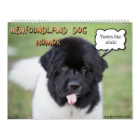 Notta Bear Newfoundlands Humour