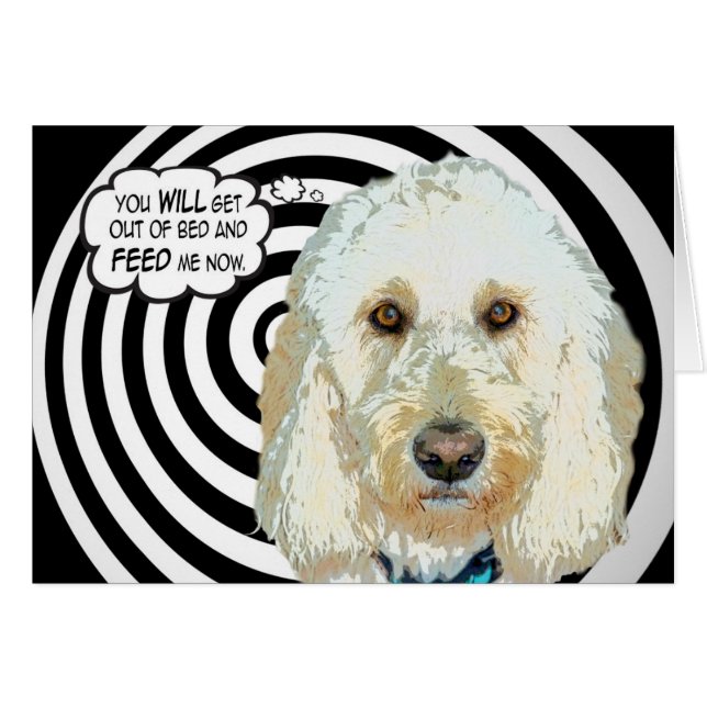 Nourris-moi ! (Devant Horizontal)