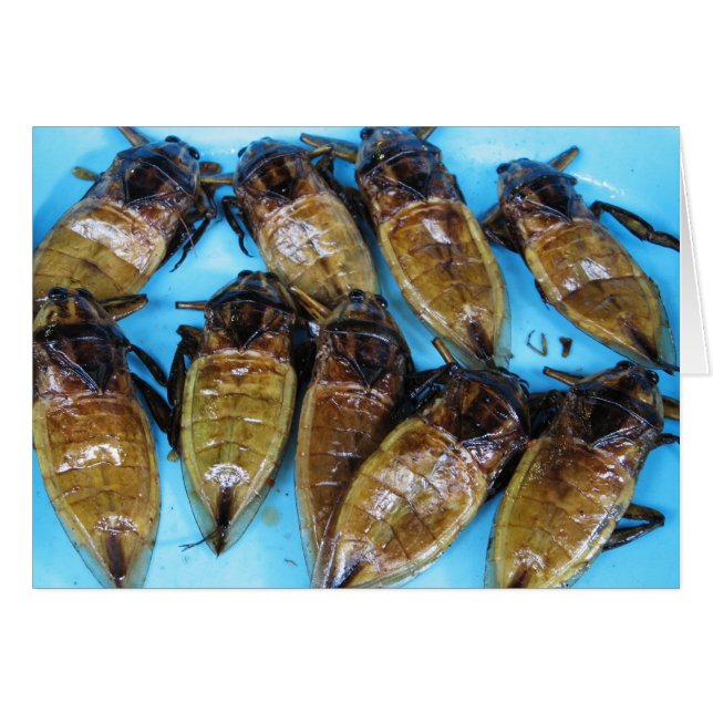 Nourriture asiatique géante frite d'insecte d'eau (Devant horizontal)
