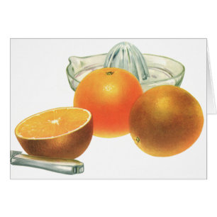 Nourriture vintage Fruit, Oranges mûres Juicer Pet