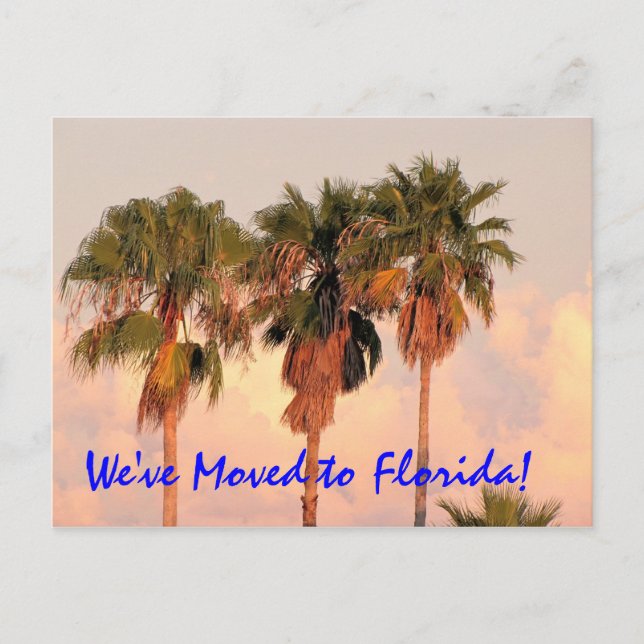 Nous avons déménagé en Floride carte postale (Devant)
