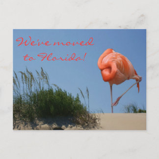 Nous avons déménagé en Floride ! Carte postale de 