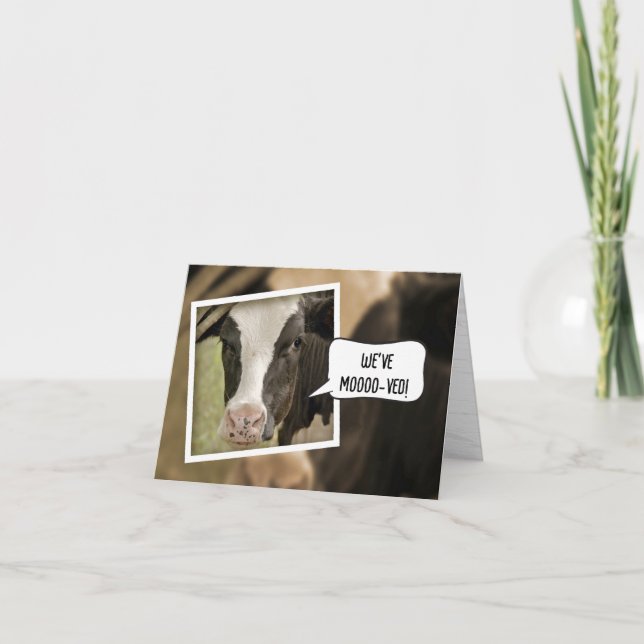 Nous avons déménagé Faire-part avec vache (Devant)
