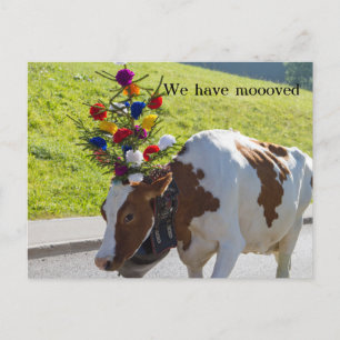 Nous Avons Déménagé Swiss Cow Carte Postale