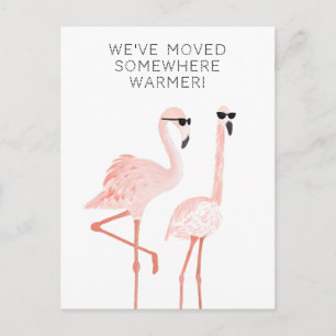 Nous Avons Déplacé Carte Postale
