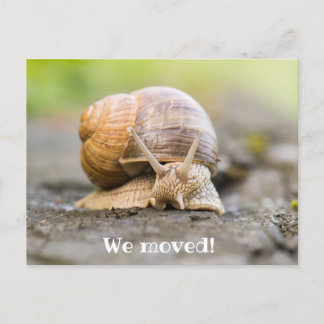 Nous avons déplacé carte postale avec escargot