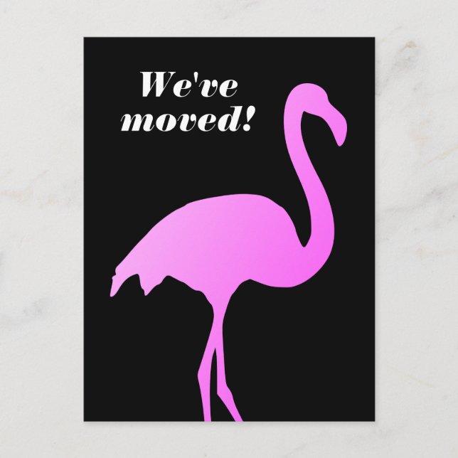 Nous avons déplacé des cartes postales flamingo ro (Devant)