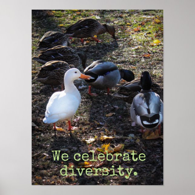 Nous célébrons la diversité Poster Imprimer (Devant)