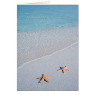 Nous deux Ocean Love Starfish