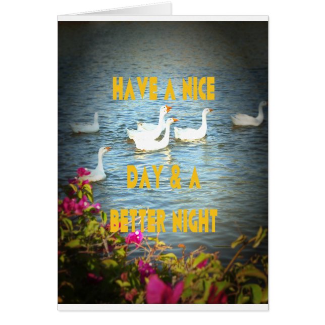 Nous laissons toujours nos clients heureux et sati (Devant)