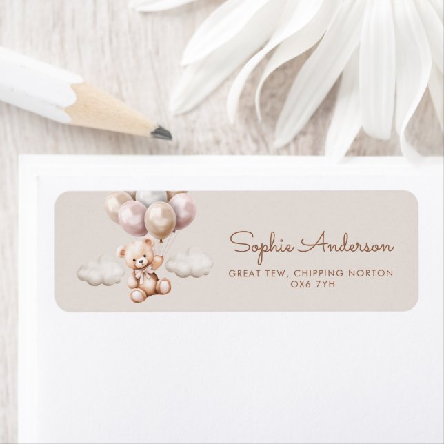 Nous Pouvons Attendre L'Ours Avec Le Baby shower D (En situation)