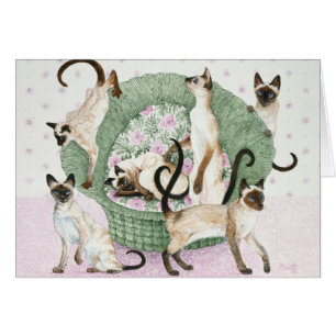 Nous sommes siamois si vous svp