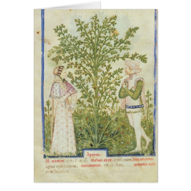 Nouv Acq Lat Celery, from 'Tacuinum Sanitatis' (Front)