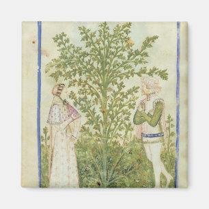 Nouv Acq Lat Celery, from 'Tacuinum Sanitatis' Magnet