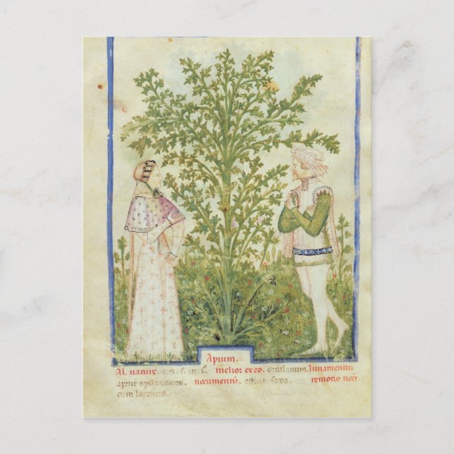 Nouv Acq Lat Celery, from 'Tacuinum Sanitatis' Postcard (Front)
