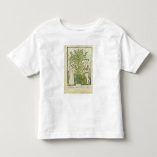 Nouv Acq Lat Celery, from 'Tacuinum Sanitatis' Toddler T-shirt