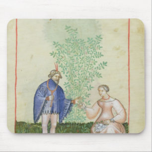 Nouv Acq LatRoses, from 'Tacuinum Sanitatis' Mouse Pad