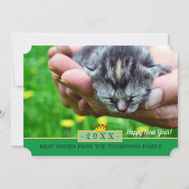 Nouveau Born Kitten et Bonne année! Carte /Chats (Devant)