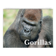 NOUVEAU Calendrier Gorilla 2026