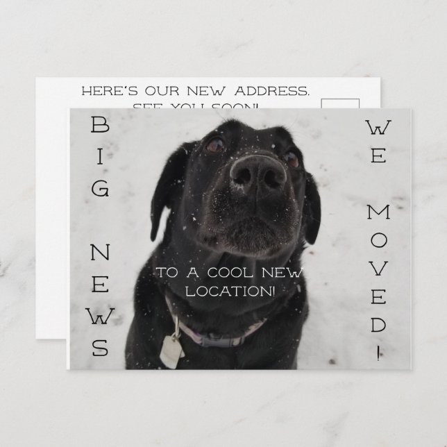 Nouveau cool ! Carte postale (Devant / Derrière)