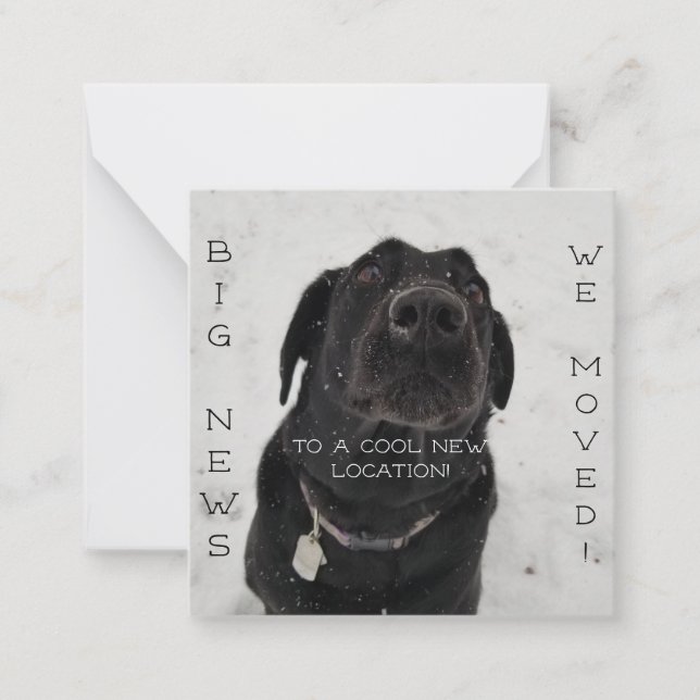 Nouveau cool ! Carte postale (Devant)