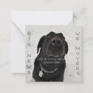 Nouveau cool ! Carte postale