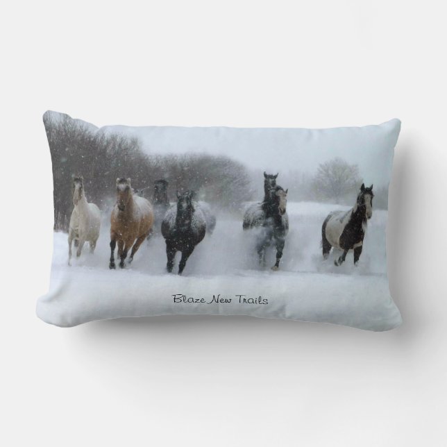 Nouveau coussin de cheval de traînées de flamme (Recto)