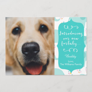 Nouveau faire-part bleu de Furbaby