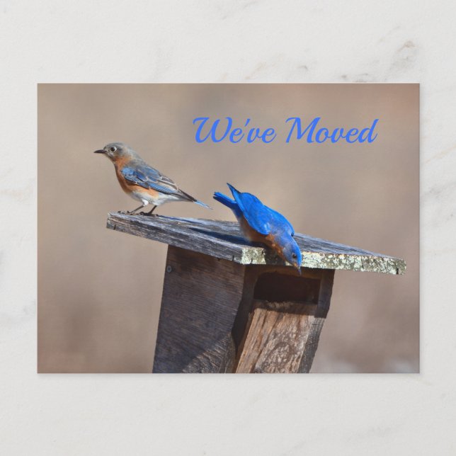 Nouveau Faire-part résidentiel (Devant)