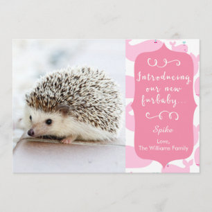 Nouveau faire-part rose de Furbaby