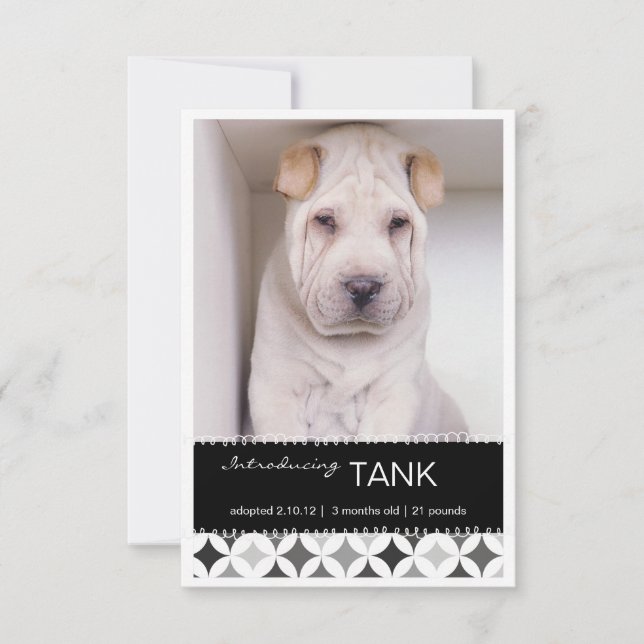 Nouveau Pet Retro Circles B&W Photo Faire-part (Devant)