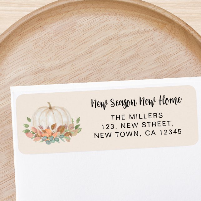 Nouvelle adresse de retour du Citrouille à domicil (Créateur téléchargé)