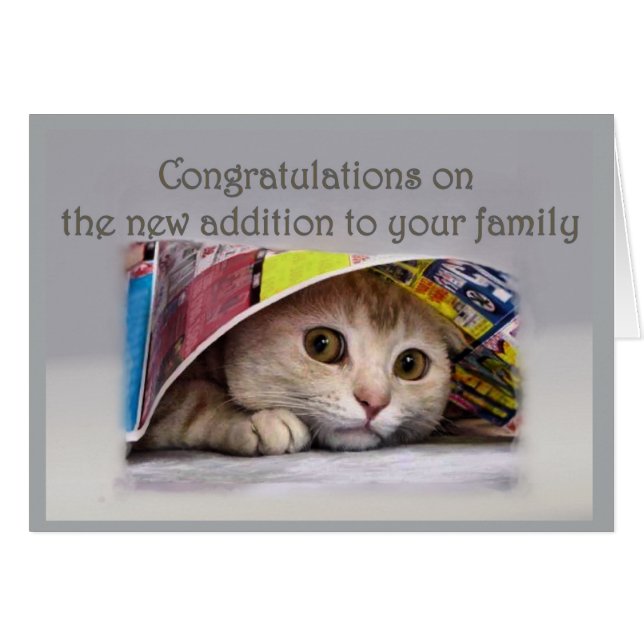 Nouvelle ajout de chats à la famille (Devant horizontal)