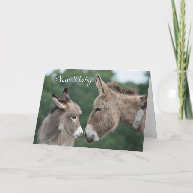 Nouvelle carte de bébé d'âne (Devant)
