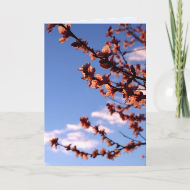 Nouvelle carte de fleurs de printemps (Devant)