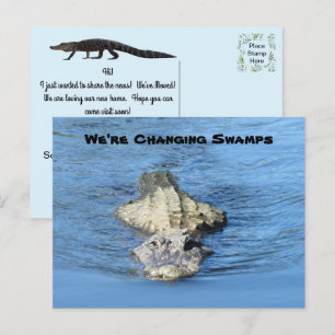 Nouvelle carte postale Alligator
