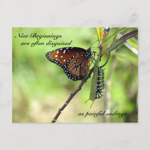 Nouvelle carte postale de début