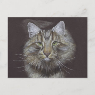 Nouvelle carte postale Faire-part pour animaux