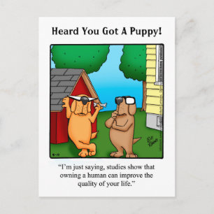 Nouvelle carte postale Humour animal