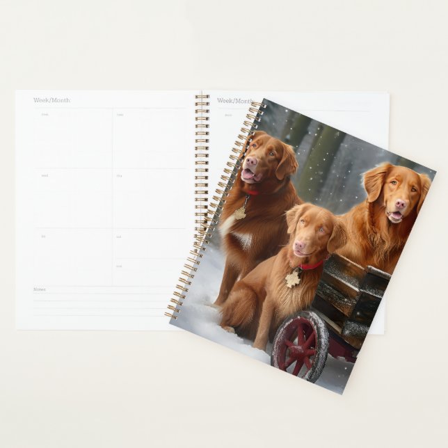 Nouvelle-Écosse Duck Toller Retriever Snowden (Devant avec enveloppe)