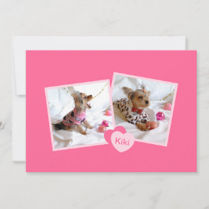 Nouvelle Faire-part d'adoption d'animaux de compag