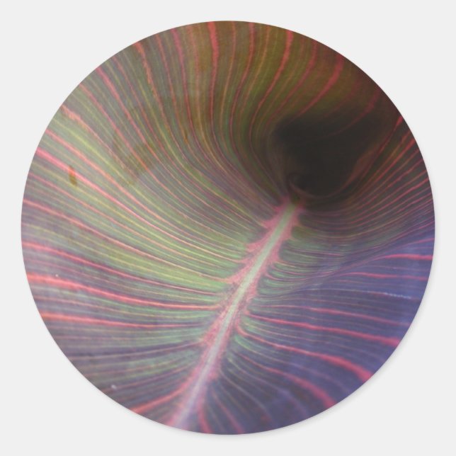 Nouvelle feuille de canne ~ autocollant (Devant)