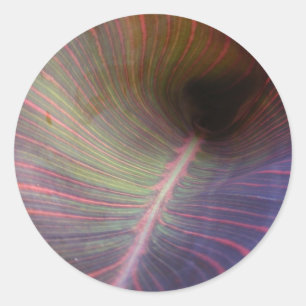 Nouvelle feuille de canne ~ autocollant