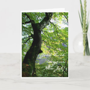 Nouvelle tâche Bonne chance carte