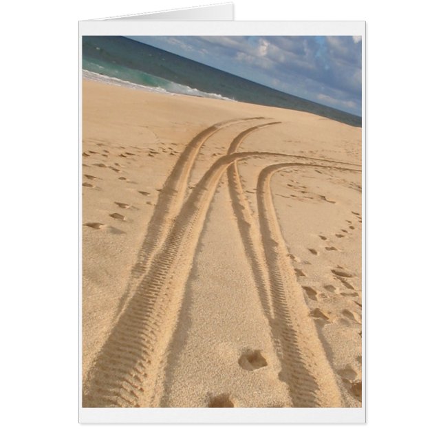 nouvelle vie (Devant)