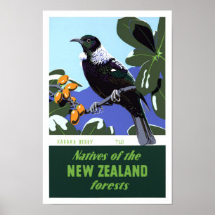 Nouvelle-Zélande Poster Vintage voyage restauré